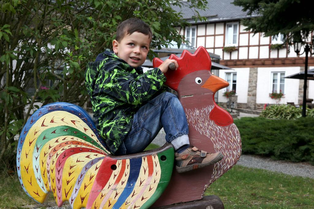 Sonnenhotel Hoher Hahn Шварценберг Экстерьер фото
